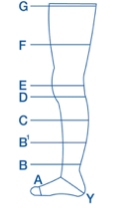 Copression - diagram of leg