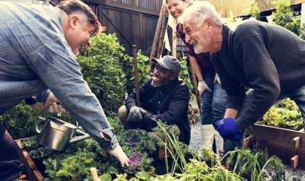 Group of people gardening together - patient centred care at Accelerate